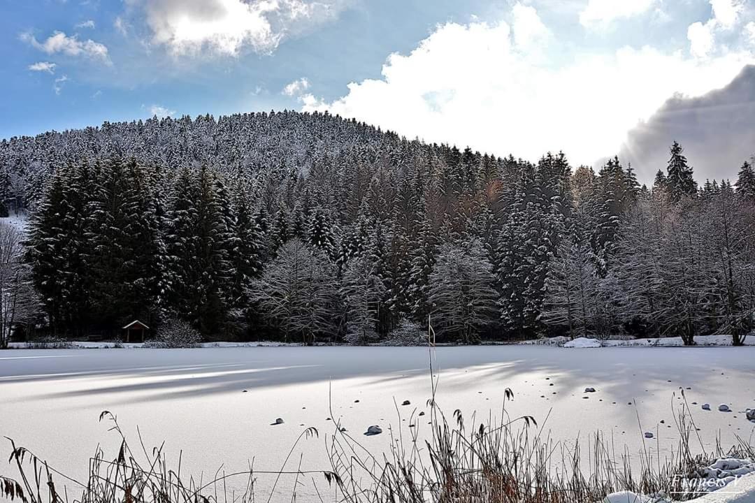 Le petit vosgien Appartement Gérardmer Buitenkant foto